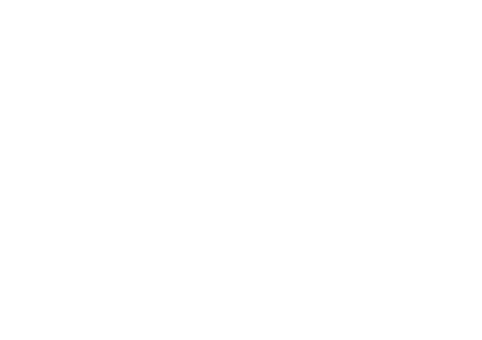 Logo Partnera 2